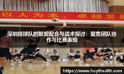 深圳排球队的默契配合与战术探讨：聚焦团队协作与比赛表现